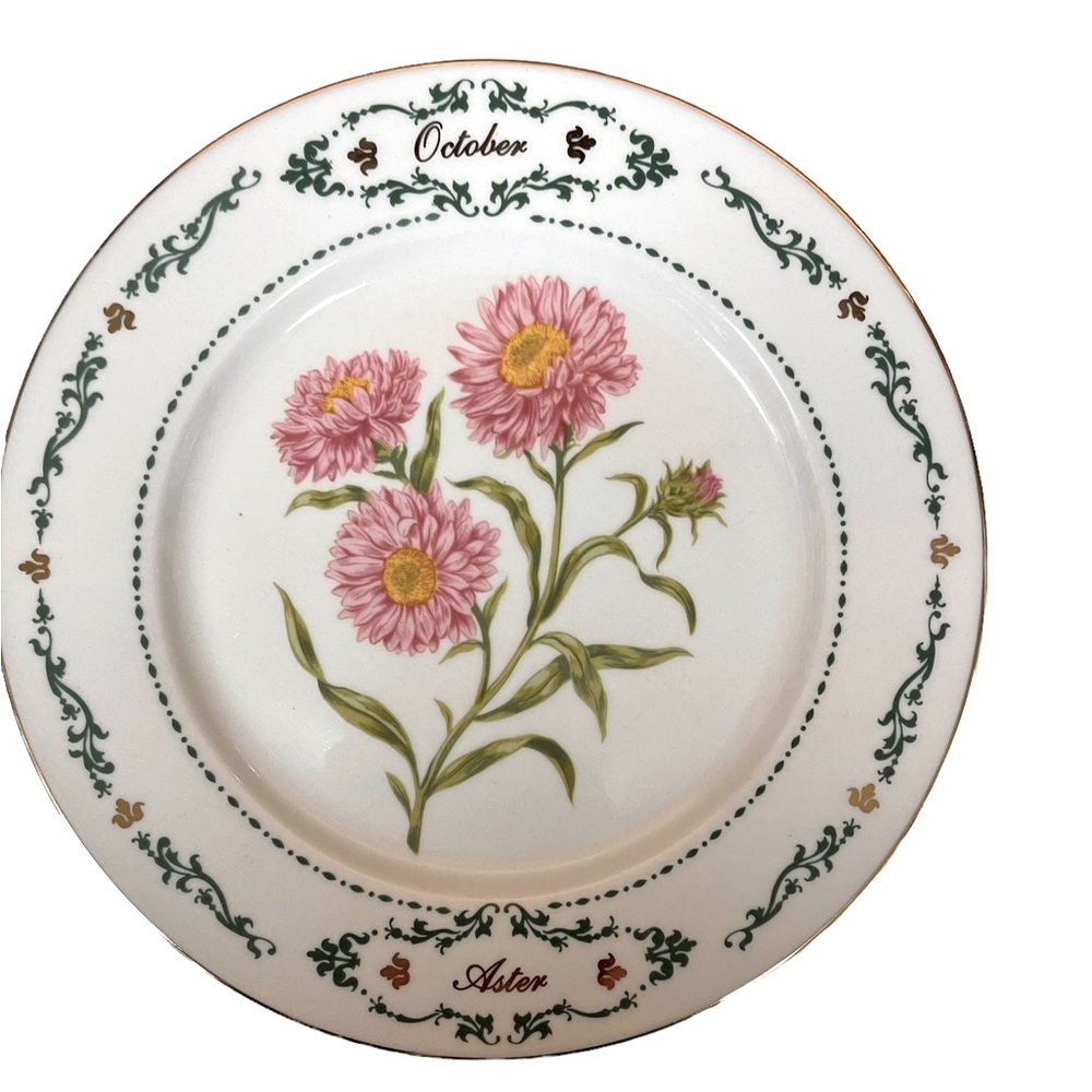 Domestications Dinner Plate